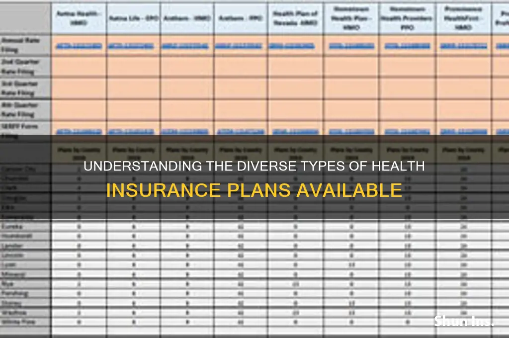 how many types of health insurance
