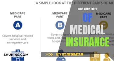 Medical Insurance: Understanding the Different Types and Their Benefits