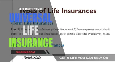 Universal Life Insurance: Exploring the Diverse Policy Types