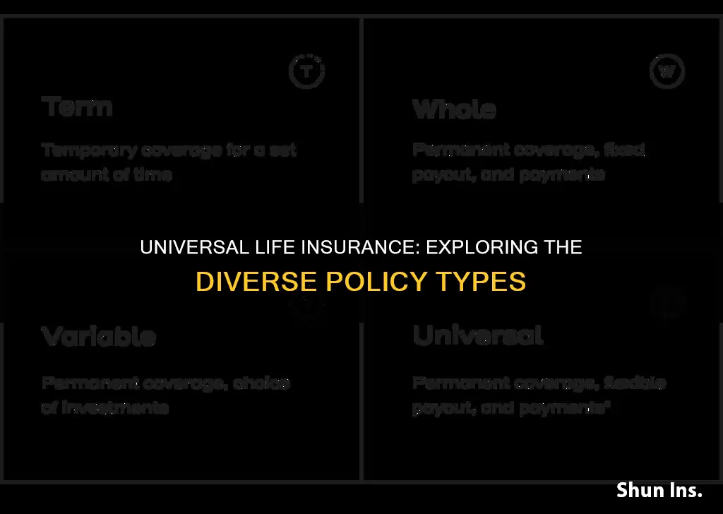 how many types of universal life insurance