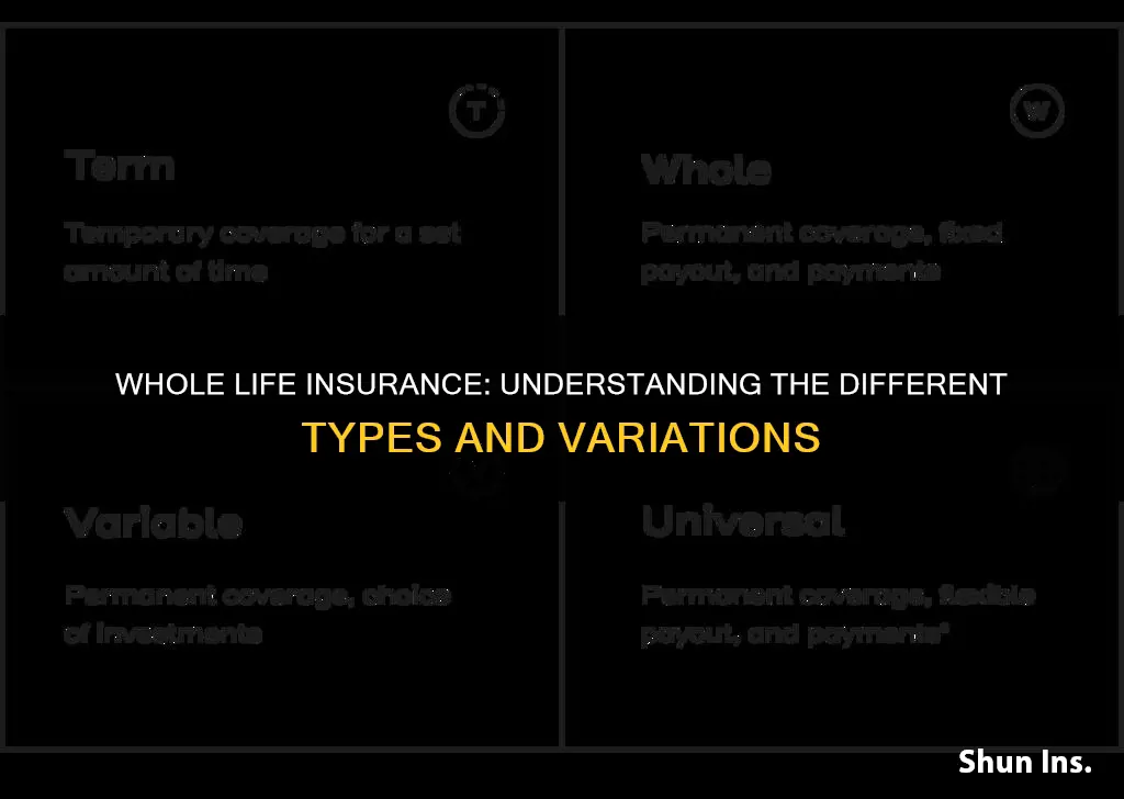 how many types of whole life insurance are there