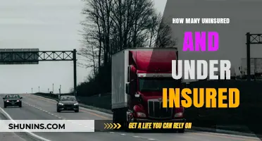 Uninsured and Underinsured Crisis: Understanding the Scope of America's Coverage Gap