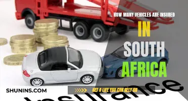 Insured Vehicles in South Africa: How Many?