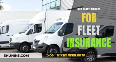 Fleet Insurance: Vehicles Count