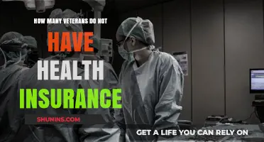 Uninsured Veterans: Addressing the Gap in Healthcare Coverage for Heroes
