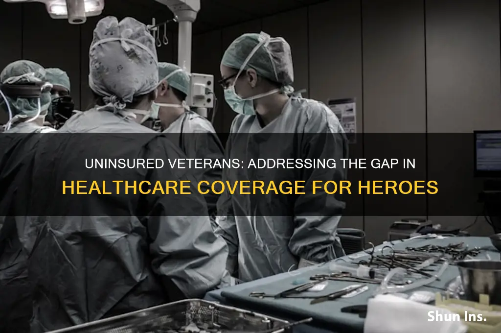 how many veterans do not have health insurance
