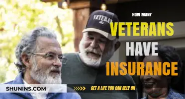 Veterans' Healthcare Coverage: How Many Have Insurance in the U.S.?