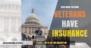 Do Vietnam Veterans Have Adequate Insurance Coverage Today?