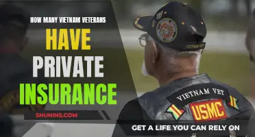 Vietnam Vets' Private Insurance: Who Has Coverage?