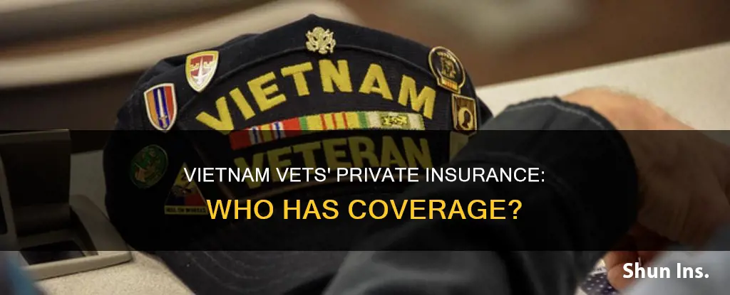 how many vietnam veterans have private insurance