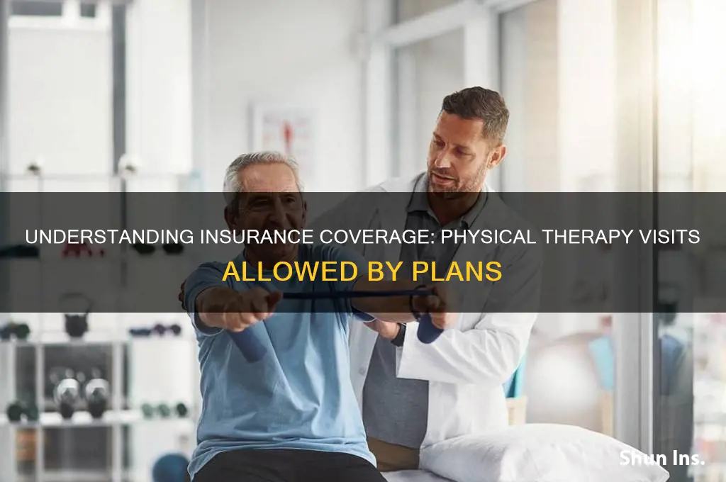 how many visits does insurance all for physical therapy