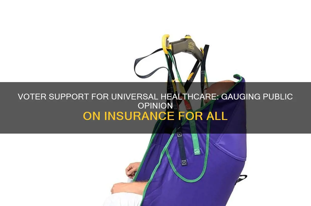 how many voters support insurance for all