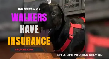Do Wag Dog Walkers Carry Insurance? What You Need to Know