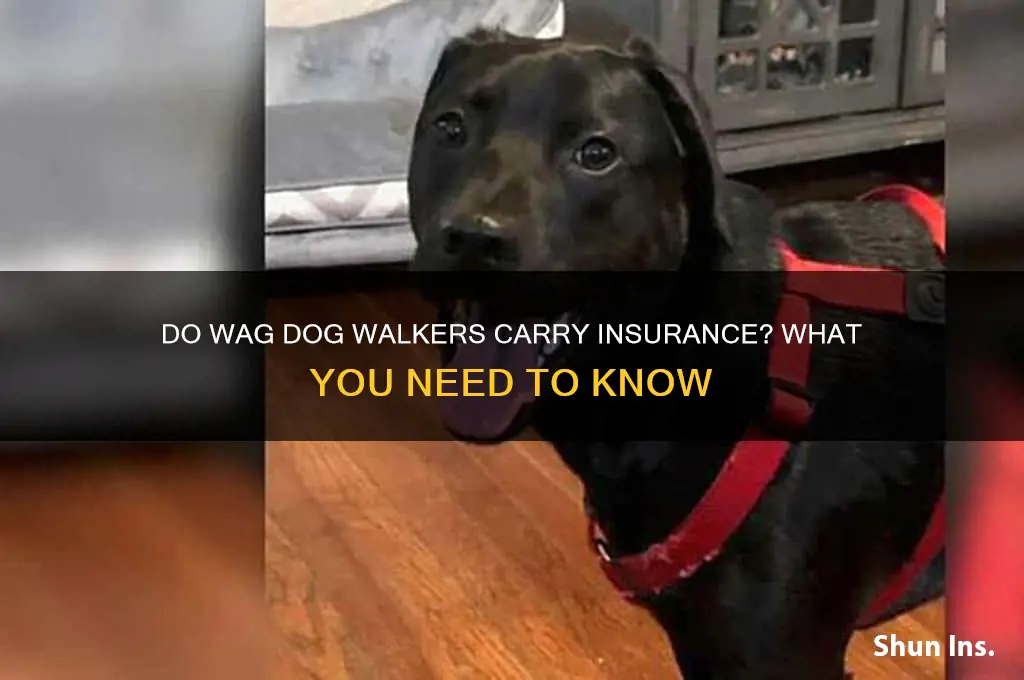 how many wag dog walkers have insurance