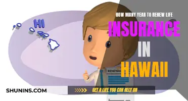 Hawaii Life Insurance: Renewal Timeframe and Considerations