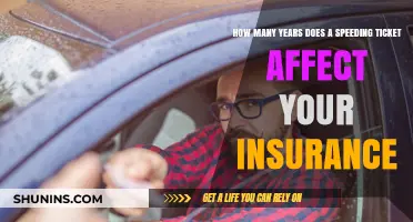 Speeding Tickets: Insurance Impact and Longevity