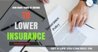 Driving Experience Impact: Years Behind the Wheel and Insurance Savings