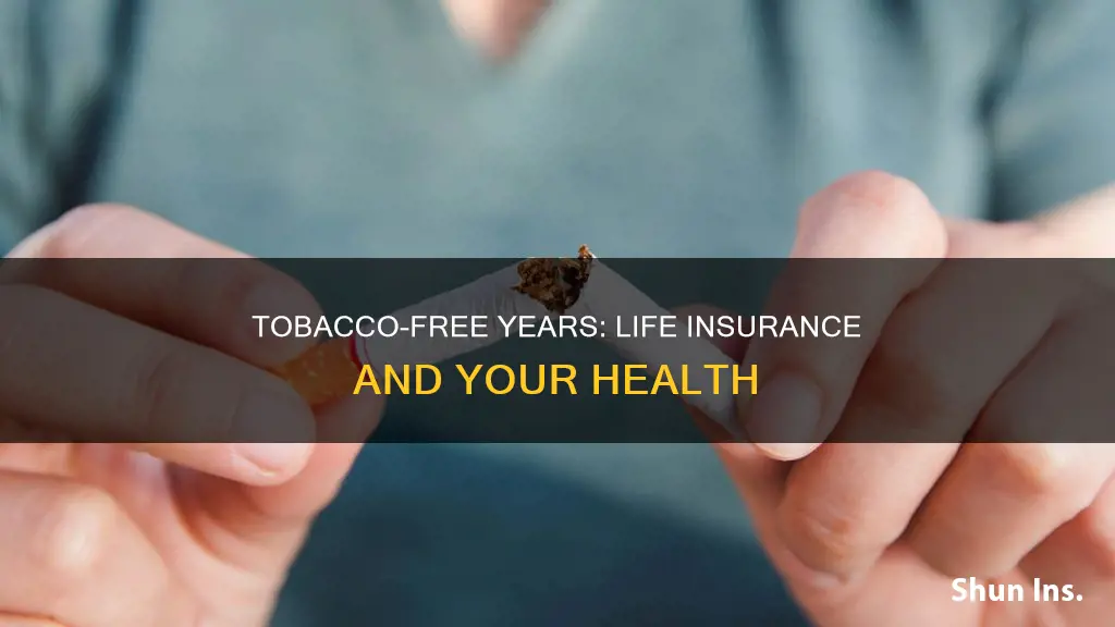 how many years tobacco free for life insurance