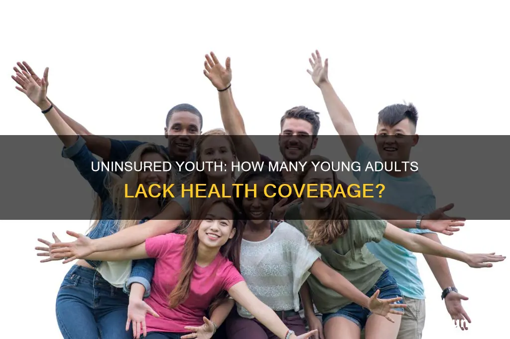 how many young adults have no health insurance