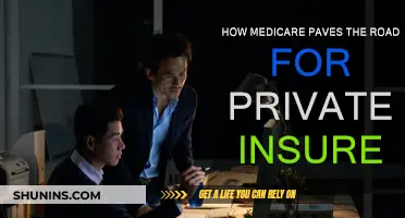 Medicare's Influence on Private Insurers: A Complex Relationship