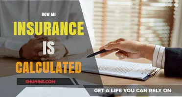 Understanding MI Insurance: Factors and Calculation Methods Explained