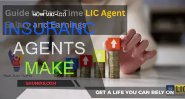 Lucrative Careers: Insurance Agent Salaries Explored