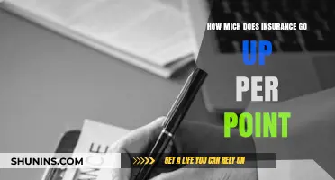 Insurance Points: Understanding the Cost of Each Point