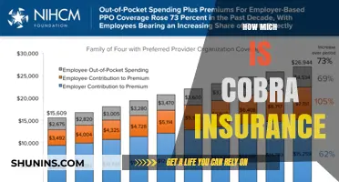 Understanding COBRA Insurance Costs: What You Need to Know