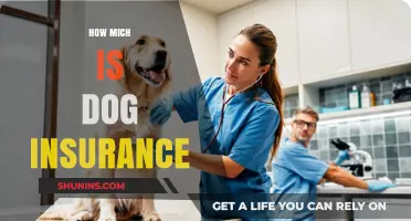 Understanding Dog Insurance Costs: What You Need to Know
