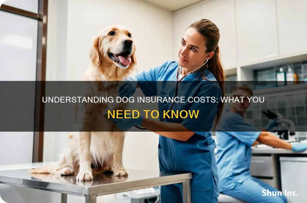 how mich is dog insurance