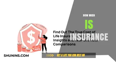 Understanding Insurance Costs: Factors That Determine How Much You'll Pay