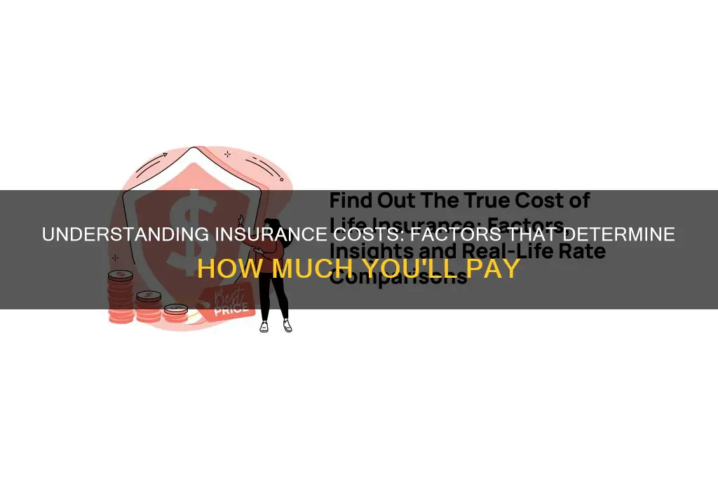 how mich is insurance