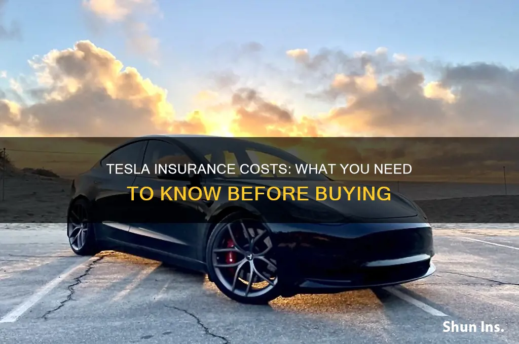 how mich is tesla insurance