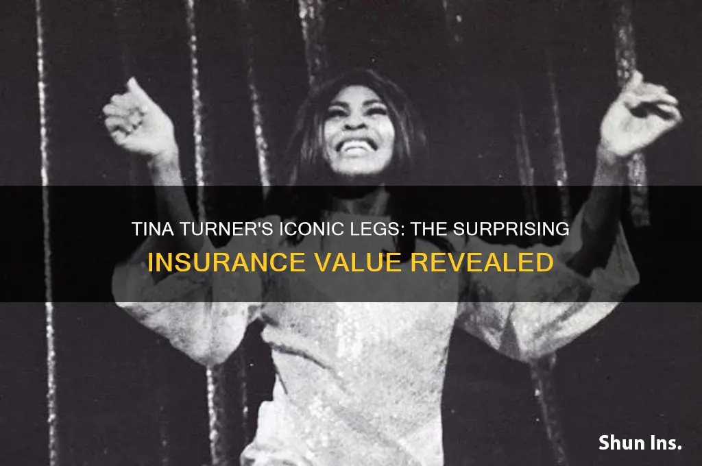 how mich was tina turner