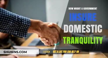 Ensuring Domestic Tranquility: Government Strategies for Social Harmony and Stability