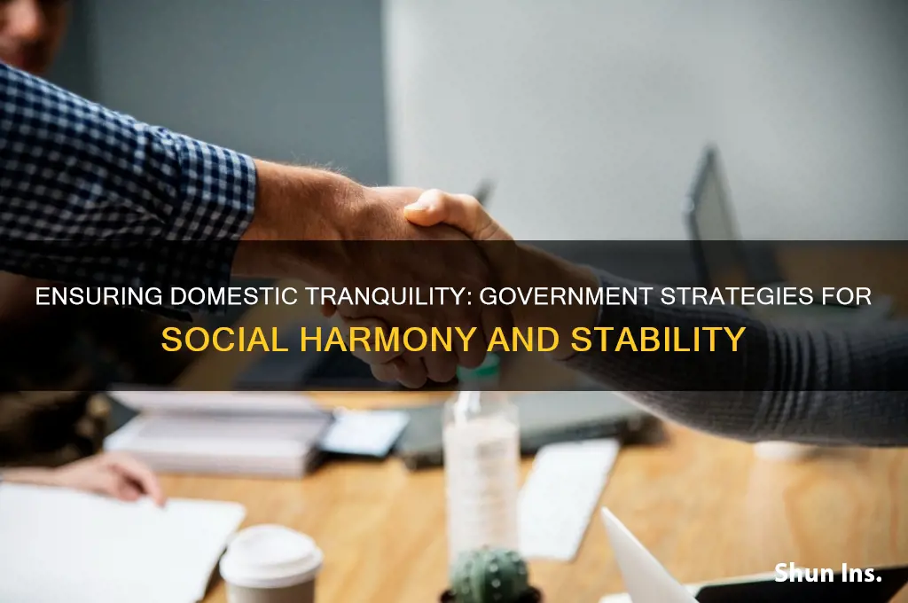how might a government insure domestic tranquility