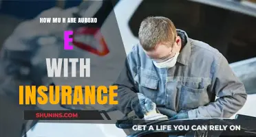 Understanding the Cost of Autobody Repairs with Insurance Coverage