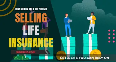 Lucrative Life Insurance Sales: How Much Can You Earn?