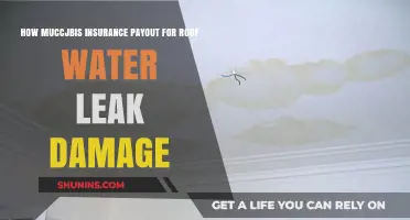Understanding Insurance Payouts for Roof Water Leak Damage Claims