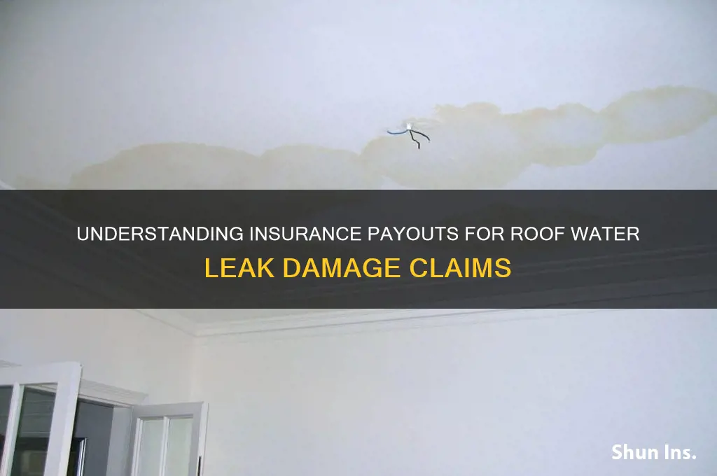 how muccjbis insurance payout for roof water leak damage