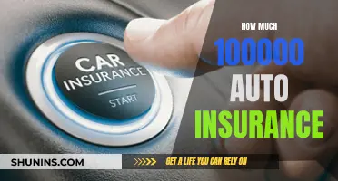 Auto Insurance: Is $100,000 Enough Coverage for You?