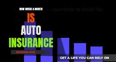 Auto Insurance: Monthly Costs and Coverage Explained