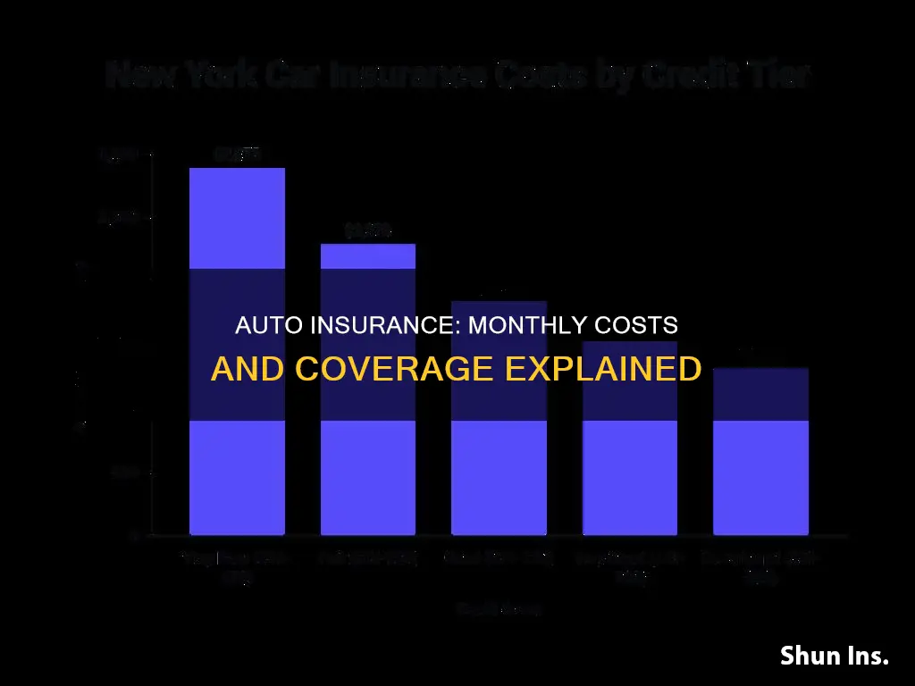 how much a month is auto insurance