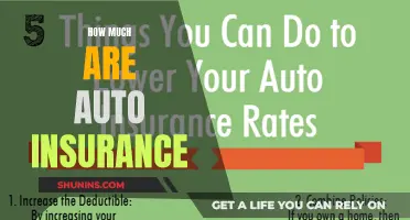 Auto Insurance Costs: How Much Do They Vary?