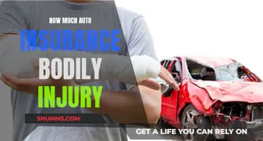 Auto Insurance: Understanding Bodily Injury Coverage