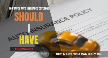 Auto Insurance: How Much Coverage?