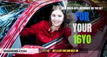 Auto Insurance for Your Teen: What You Need to Know