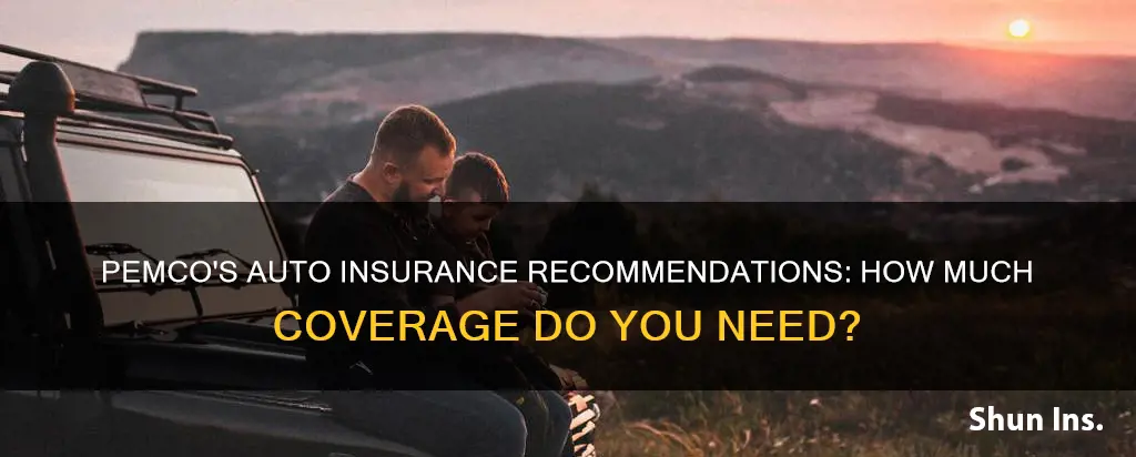 how much auto insurance does pemco recommend