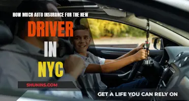 Auto Insurance for New NYC Drivers: What You Need