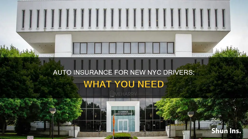 how much auto insurance for the new driver in nyc